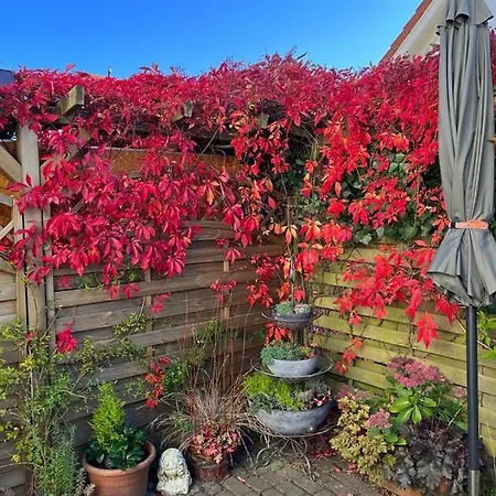 Sonnige Souterrain-ferienwohnung