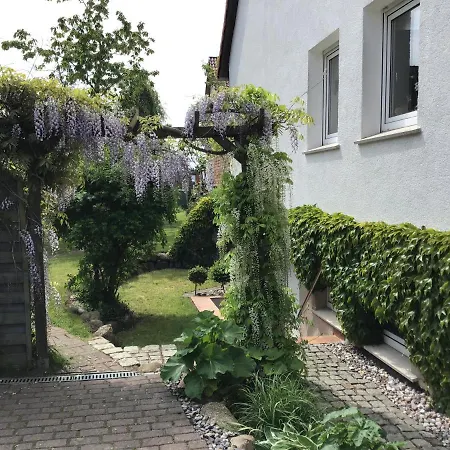 Sonnige Souterrain-ferienwohnung Apartment Sassnitz
