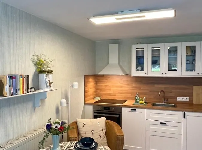 Sonnige Souterrain-ferienwohnung شقة ساسنيتز